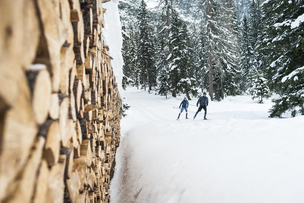 Apartment Stoanmandl Wohlfuehlappartements Neustift im Stubaital