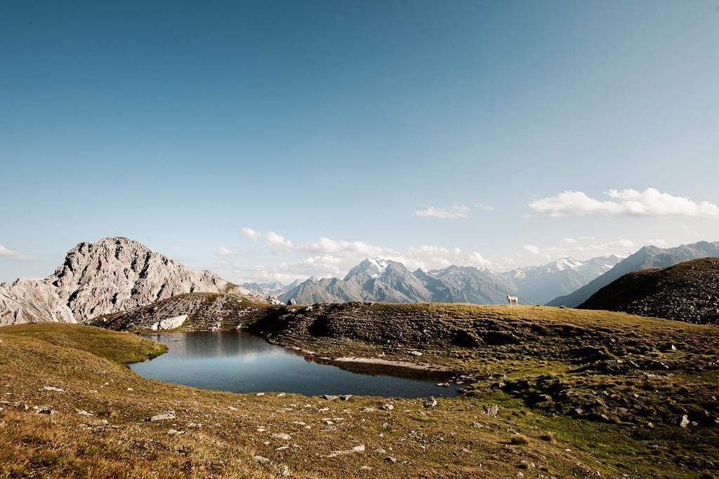 Stoanmandl Wohlfuehlappartements * Neustift im Stubaital